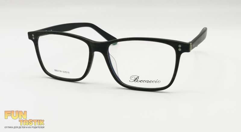 Мужские очки Boccaccio BB0739 C4