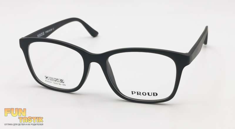 Мужские очки Proud P65021 C1