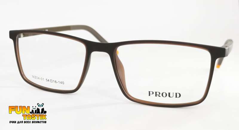 Мужские очки Proud MZ04-01